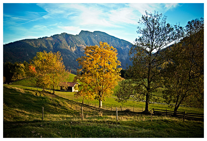 oktober-alpen-wald2