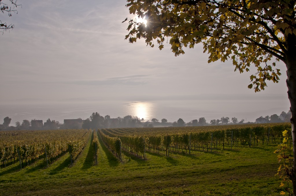 Oktober am Bodensee