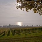 Oktober am Bodensee