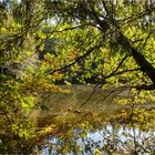 Oktober am Hexenteich