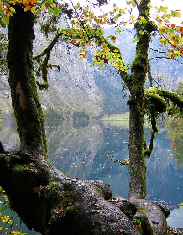 Oktober am Königsee