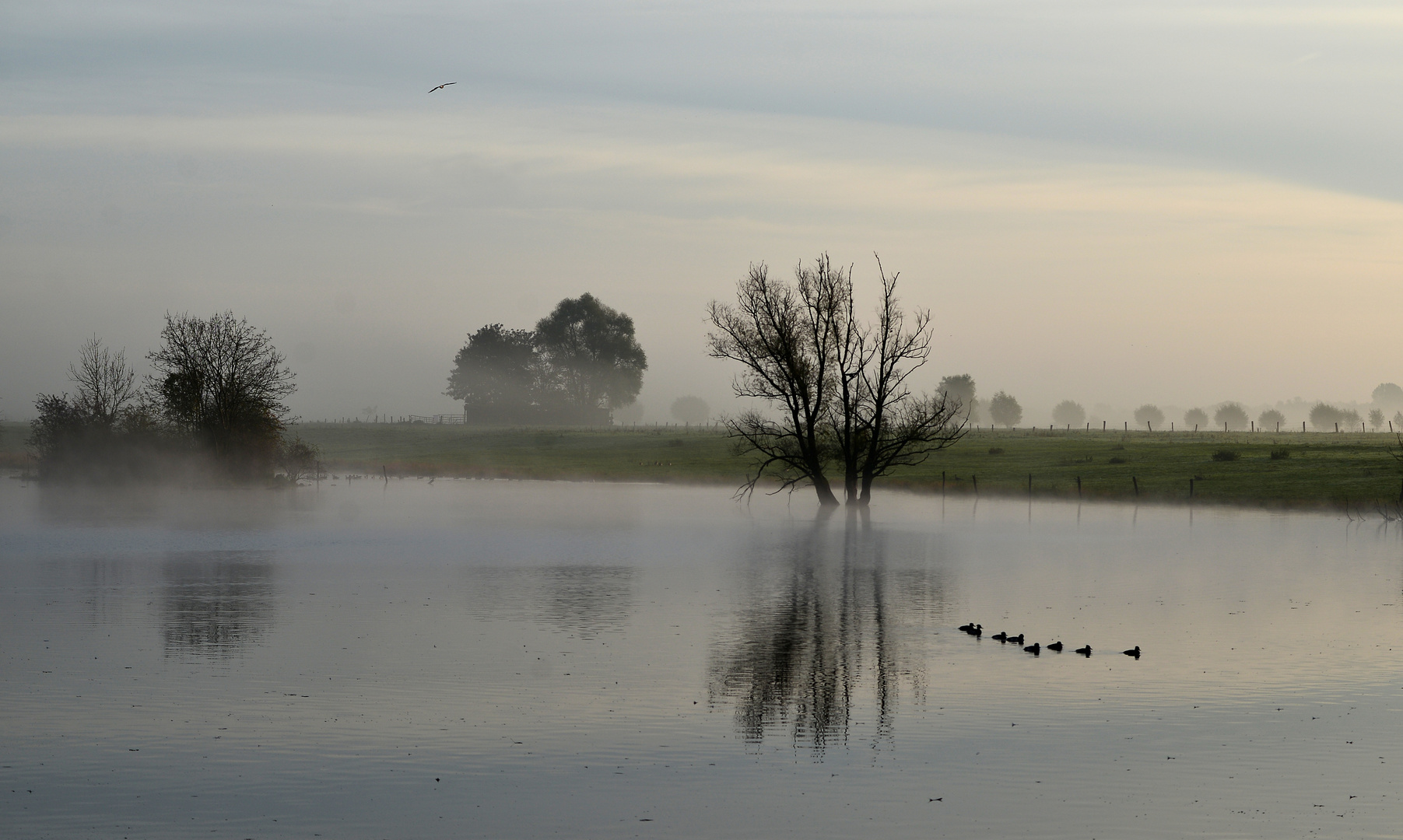 Oktober am Niederrhein...