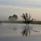 Oktober am Niederrhein...