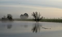 Oktober am Niederrhein...