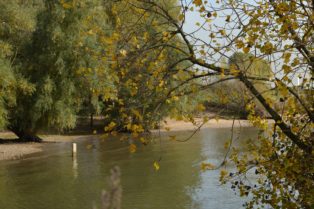 Oktober am Rheinufer