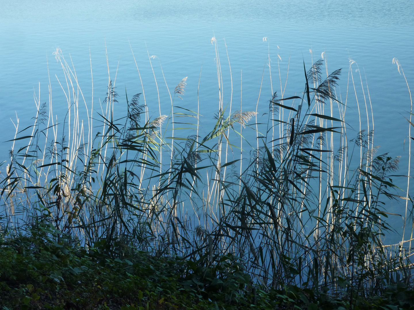 Oktober am See