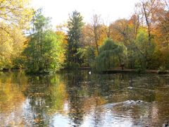 Oktober am Teich