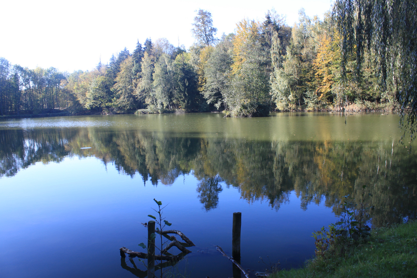 Oktober am Veronikasee bei Veltheim / Ohe