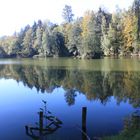 Oktober am Veronikasee bei Veltheim / Ohe