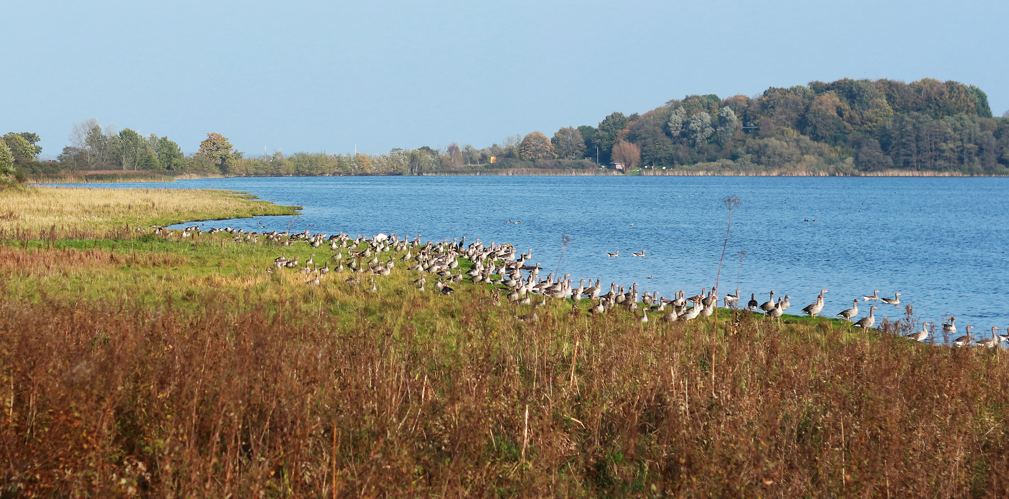 Oktober an der Schlei