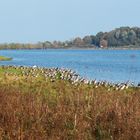 Oktober an der Schlei