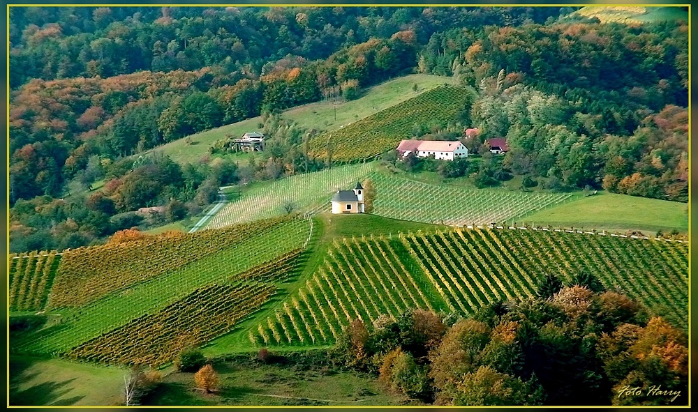 Oktober an der südsteirischen Weinstrasse. ...