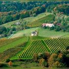 Oktober an der südsteirischen Weinstrasse. ...