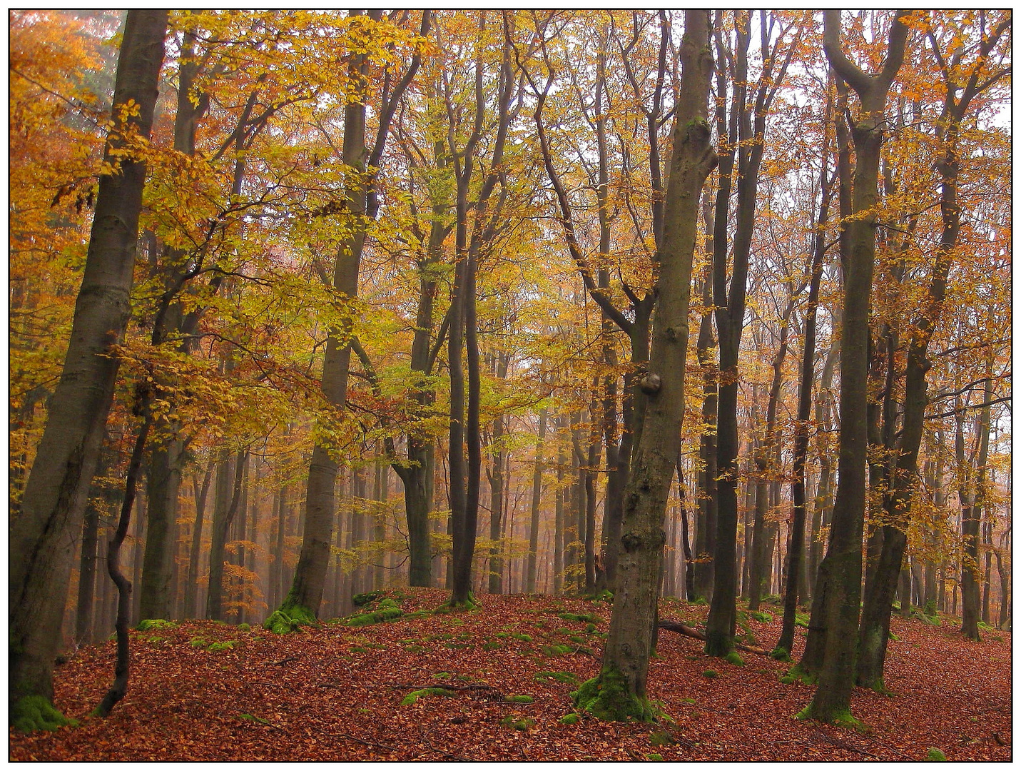 Oktober auf dem Buchberg