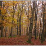 Oktober auf dem Buchberg