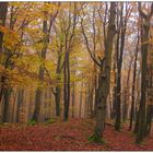 Oktober auf dem Buchberg