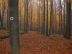 Oktober auf dem Buchberg