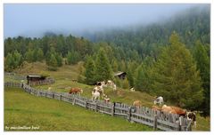 Oktober auf der Alm