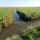 Oktober auf der Hallig Hooge (12) - 7491