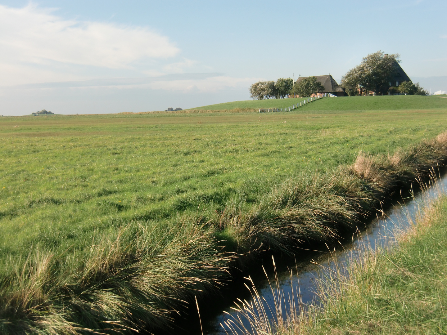 Oktober auf der Hallig Hooge (14) - 7485