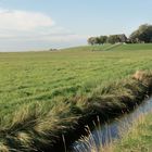 Oktober auf der Hallig Hooge (14) - 7485