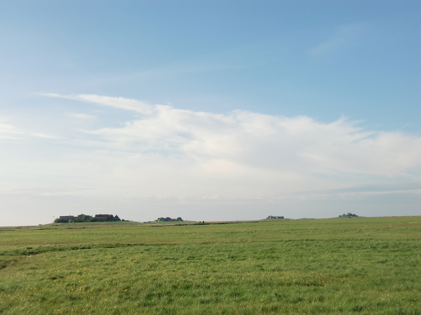 Oktober auf der Hallig Hooge (15) - 7489