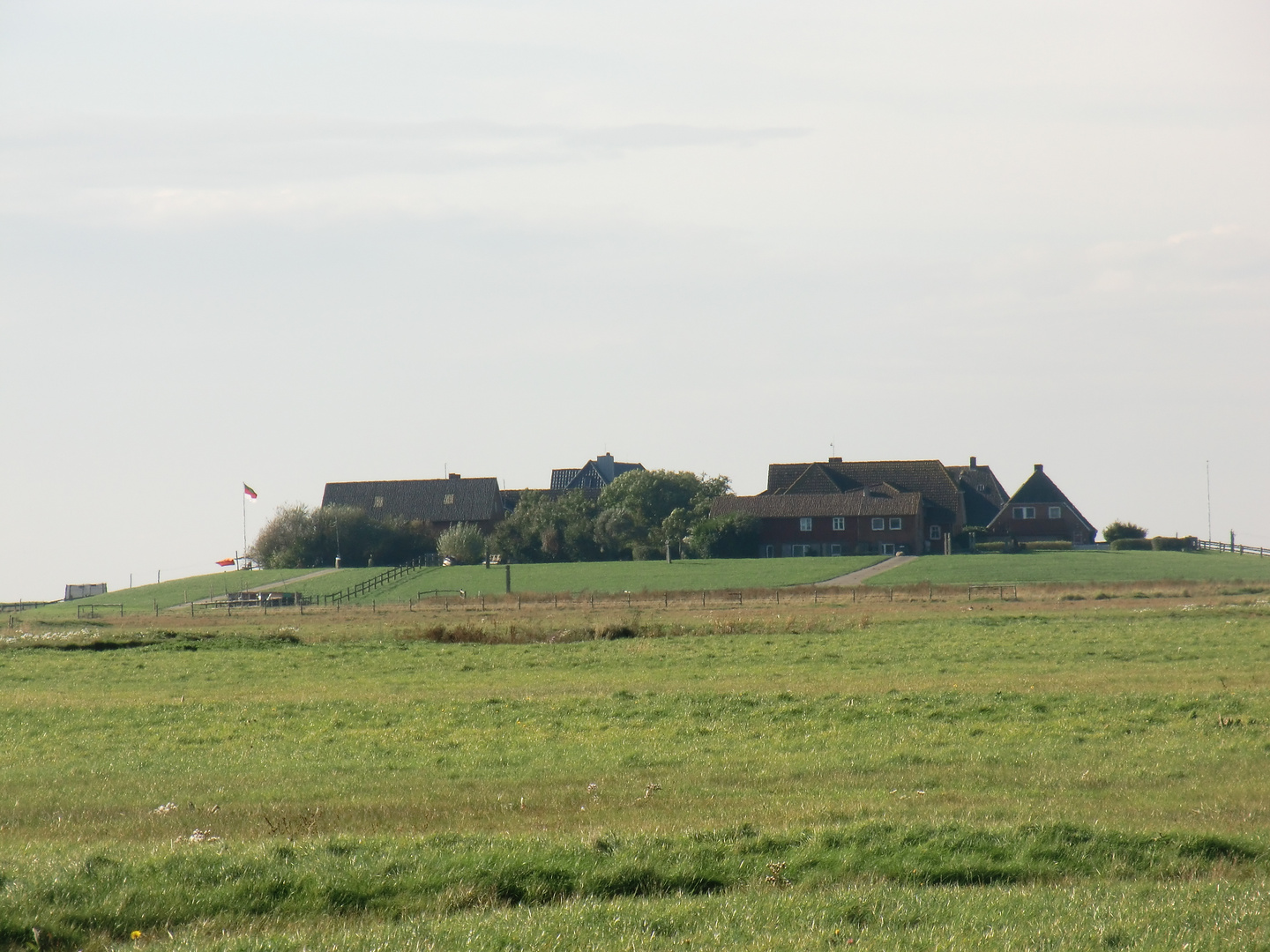 Oktober auf der Hallig Hooge (16) - 7490