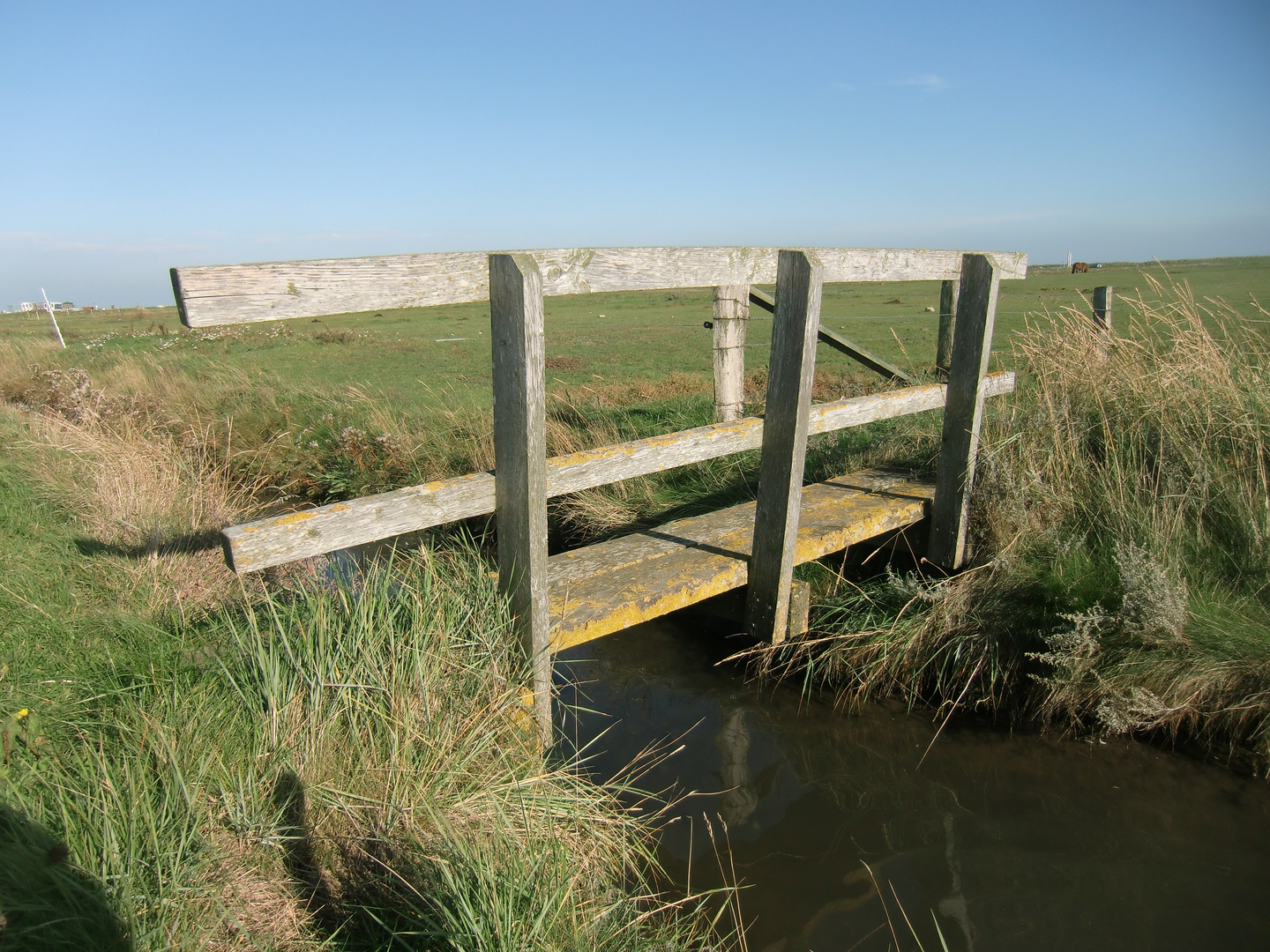 Oktober auf der Hallig Hooge (19) - 503