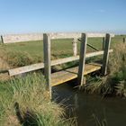 Oktober auf der Hallig Hooge (19) - 503