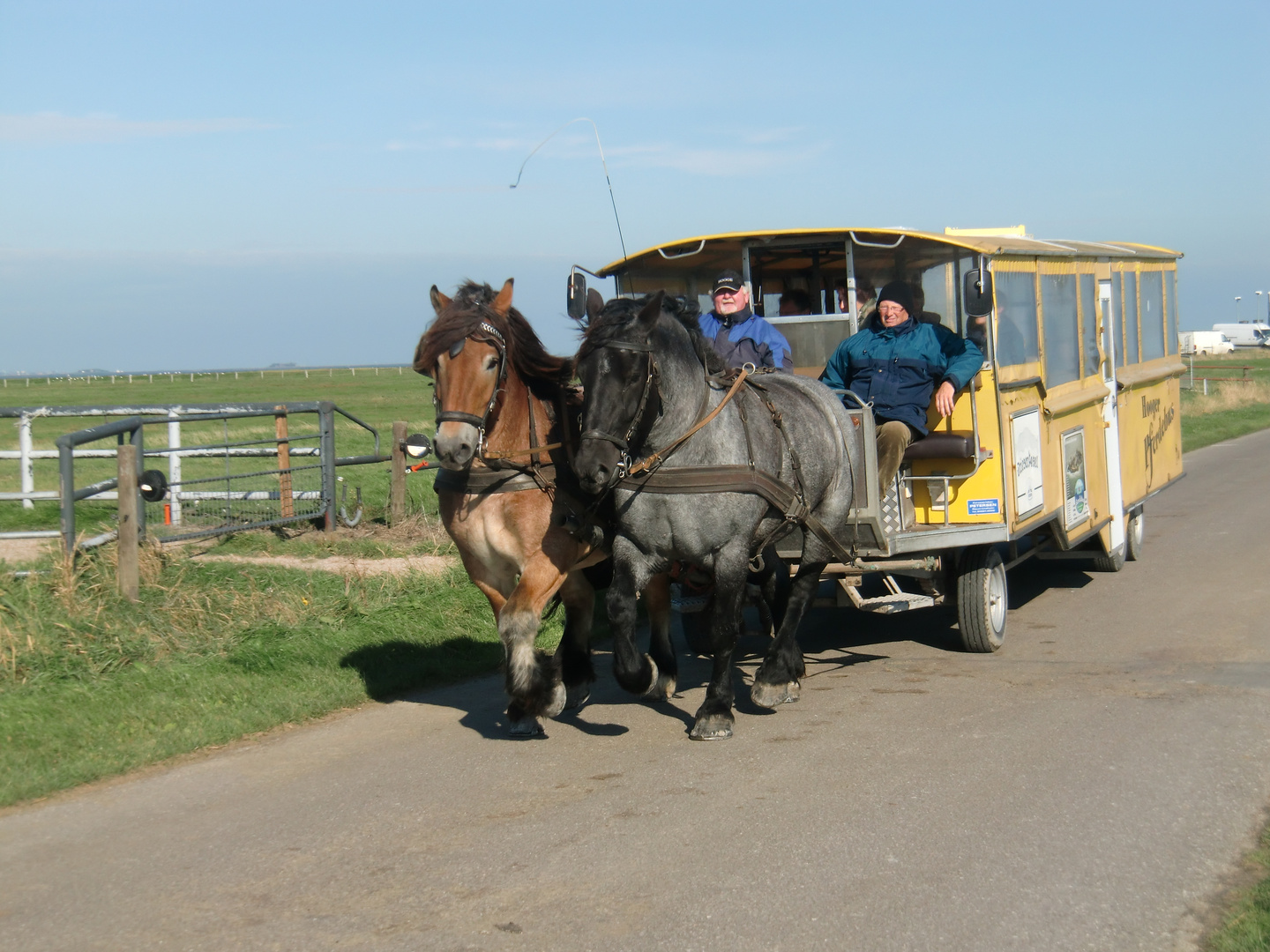 Oktober auf der Hallig Hooge (2) - 7461