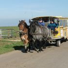 Oktober auf der Hallig Hooge (2) - 7461