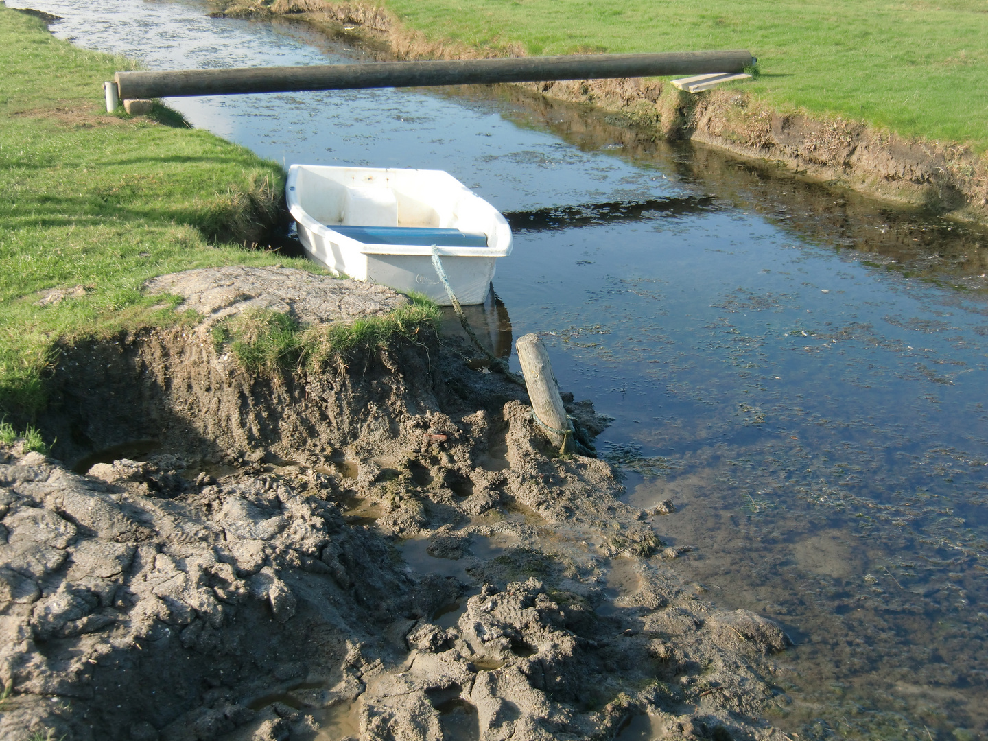 Oktober auf der Hallig Hooge (20) - 514