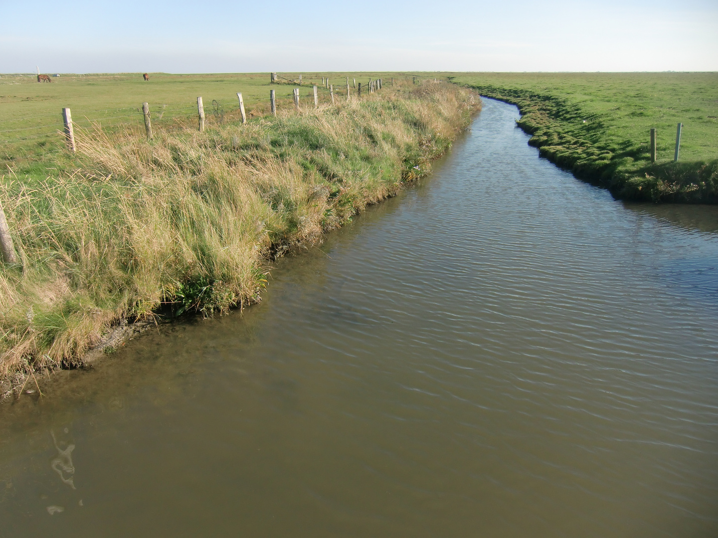 Oktober auf der Hallig Hooge (21) - 504