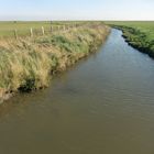 Oktober auf der Hallig Hooge (21) - 504