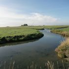 Oktober auf der Hallig Hooge (22) - 505