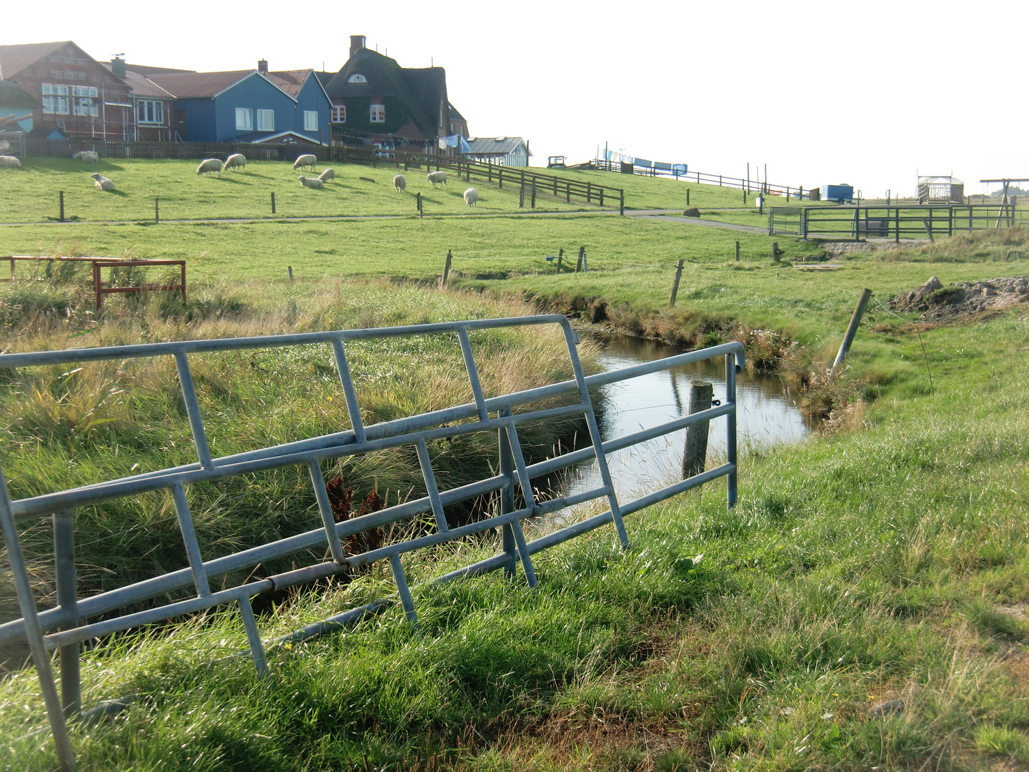 Oktober auf der Hallig Hooge (27) - 521