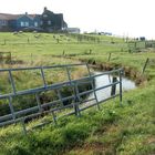 Oktober auf der Hallig Hooge (27) - 521