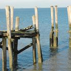 Oktober auf der Hallig Hooge (30) - 543