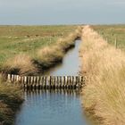 Oktober auf der Hallig Hooge (4) - 7471