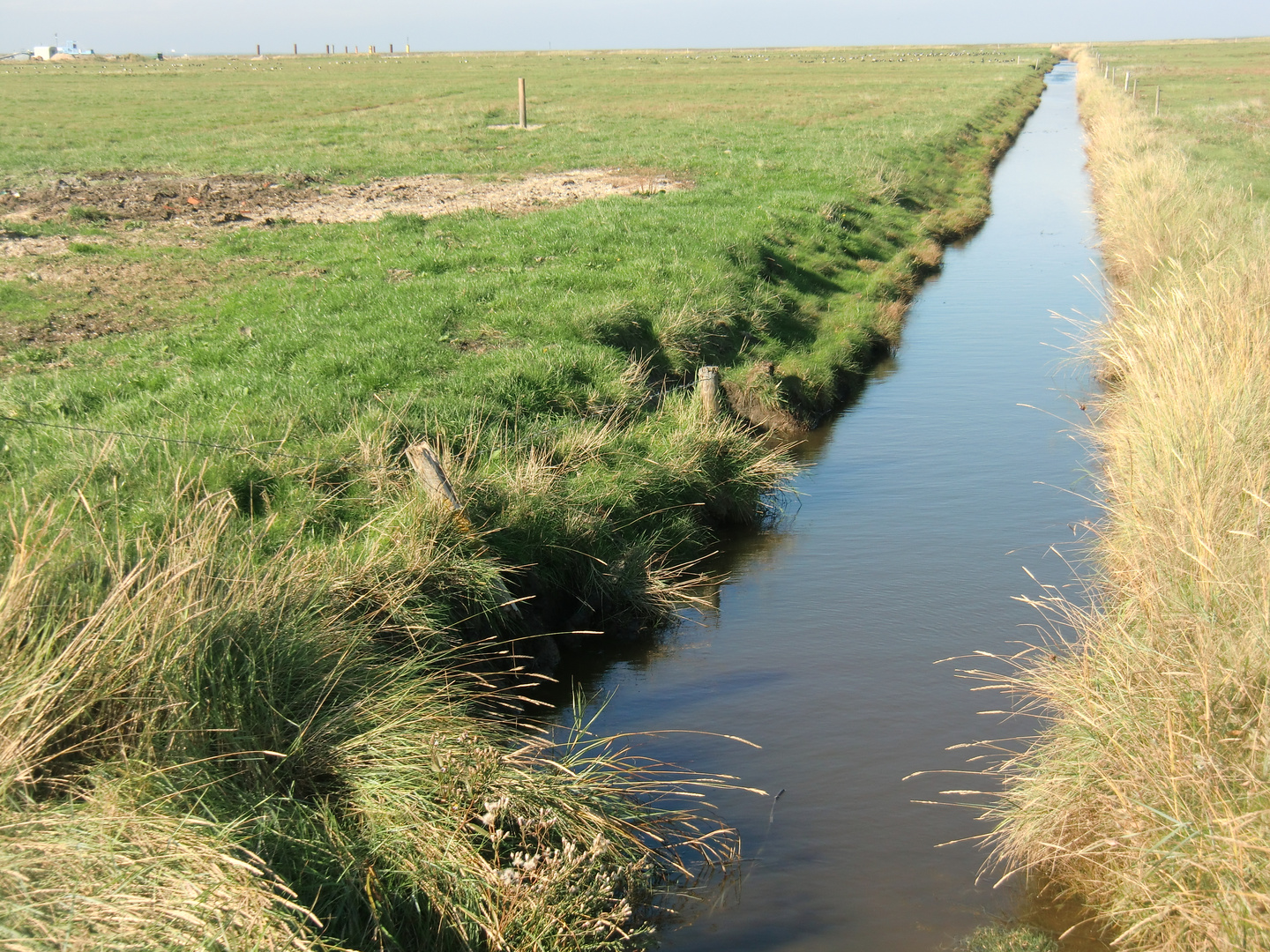 Oktober auf der Hallig Hooge (7) - 7476