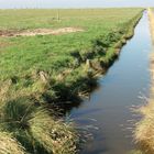 Oktober auf der Hallig Hooge (7) - 7476