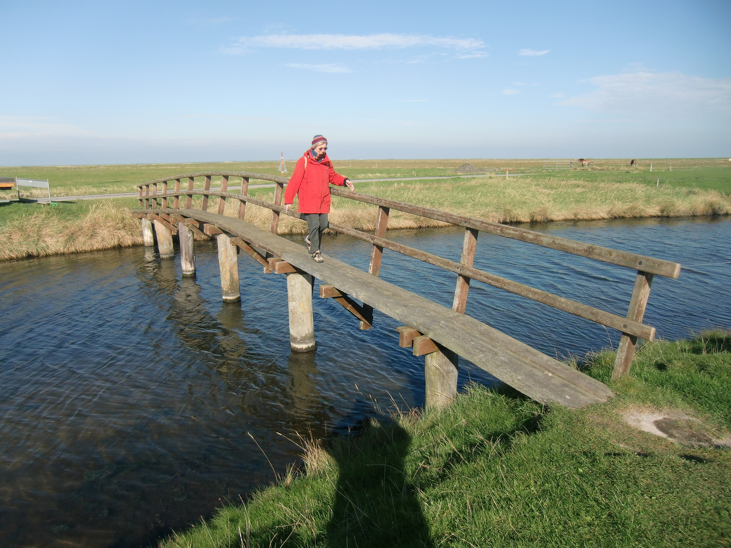 Oktober auf der Hallig Hooge (8) - 7477