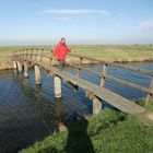 Oktober auf der Hallig Hooge (8) - 7477