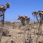 Oktober auf Gozo (Malta)