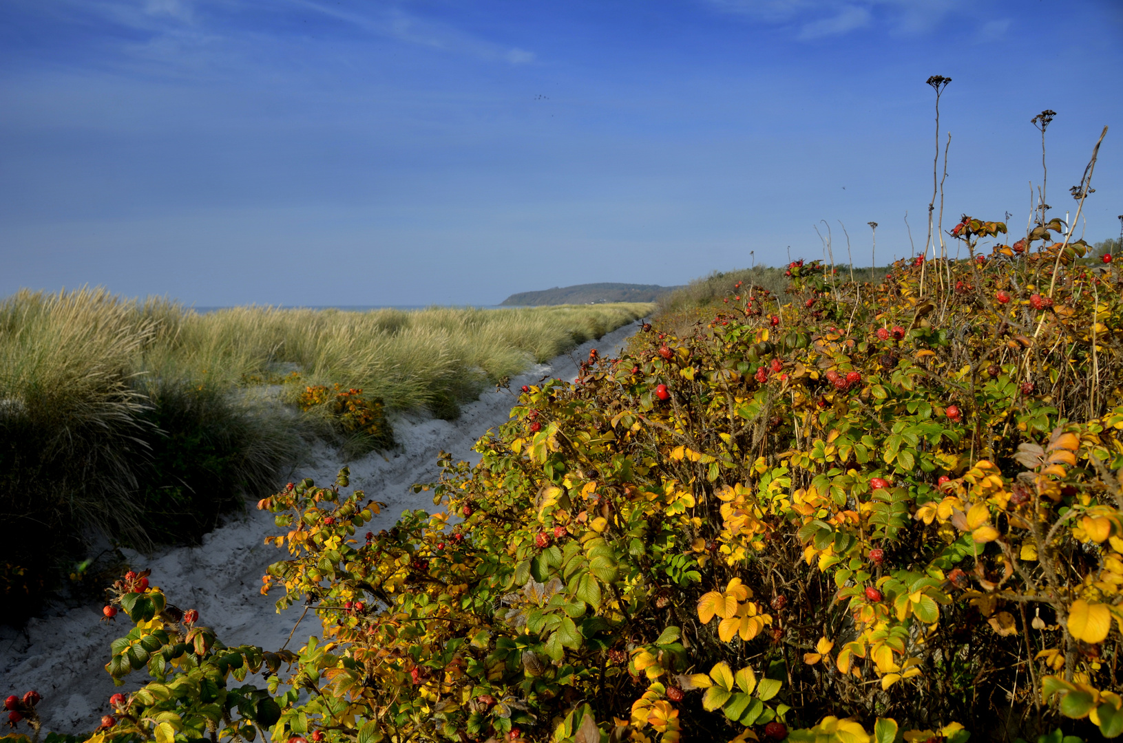 Oktober  auf Hiddensee