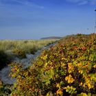 Oktober  auf Hiddensee