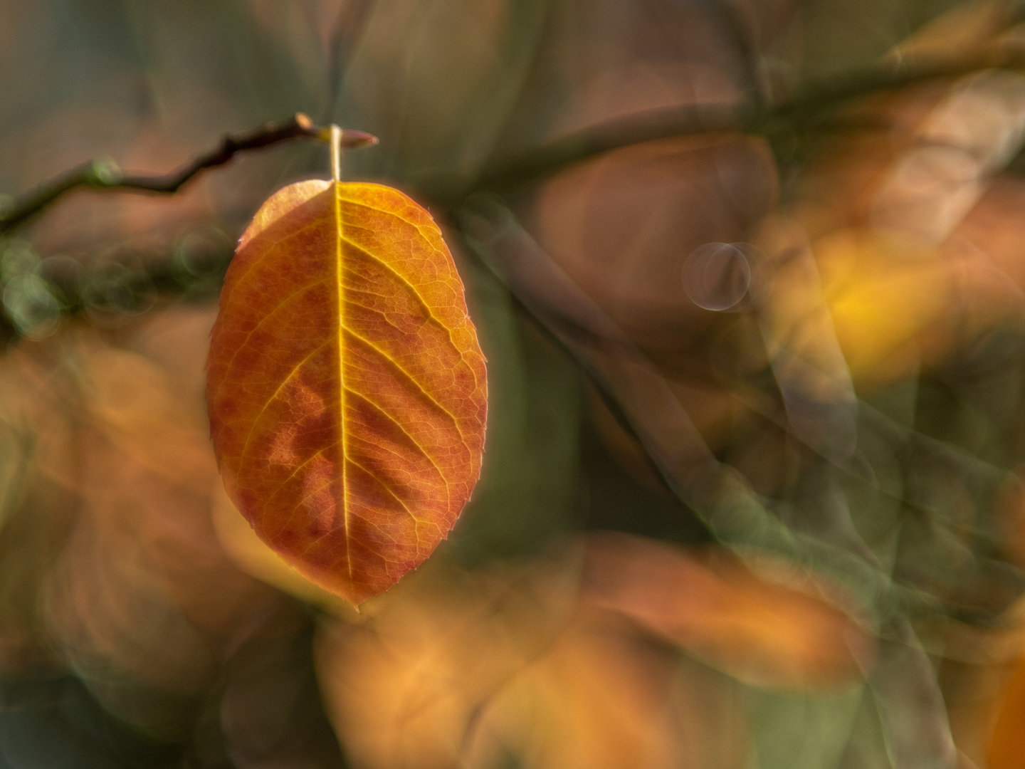 Oktober-Blatt