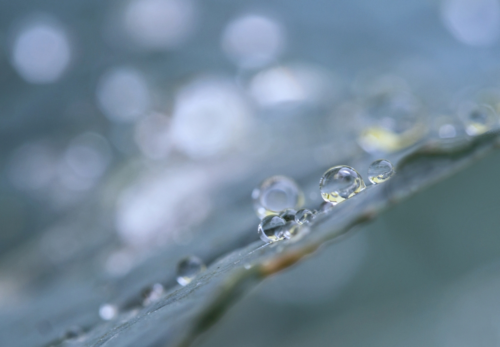 Oktober by Wienerfotogräfin 