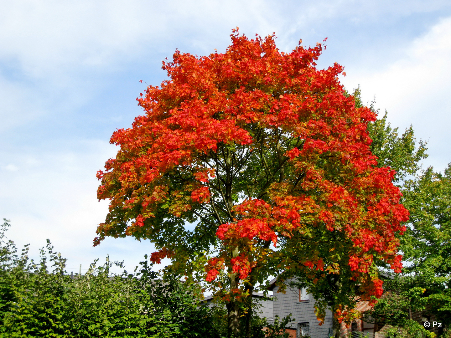 Oktober-Farben ...