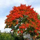 Oktober-Farben ...